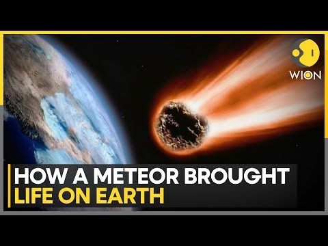 Ancient Meteorite Strike Created Ideal Conditions For Life: Study | Latest English News | WION