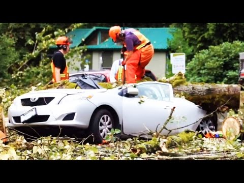 Brutal summer storm leaves thousands in the dark in B.C.