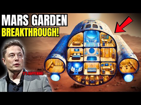 SpaceX Drops Big Starship Flight News: How Simple Mars Garden Changed Space Travel Forever!