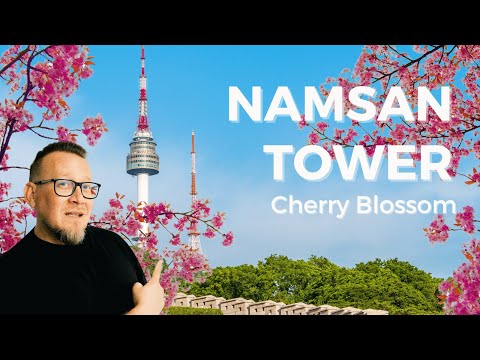 Namsan Tower&#039;s Cherry Blossom Bliss 🌸 🇰🇷