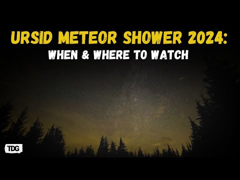 Ursid Meteor Shower 2024: How to Witness the Final Cosmic Event of the Year