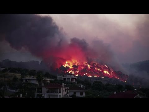 Greek firefighters battle forest blaze