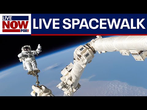 WATCH: Spacewalk at International Space Station, Astronaut Suni Williams performs mechanical fixes