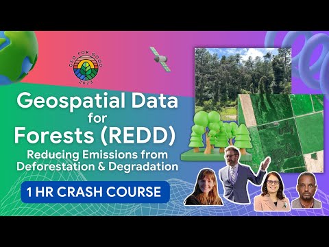 Revolutionizing REDD: How Geospatial Data is Transforming Forest Protection | GEO FOR GOOD&#039;23