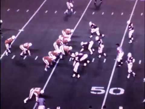 1971 South Carolina football