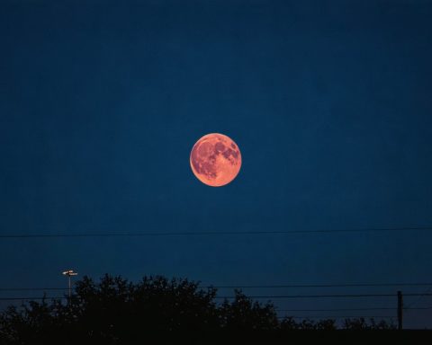 Witnessing the Celestial Spectacle: The Blood Moon Illuminates North Texas Skies